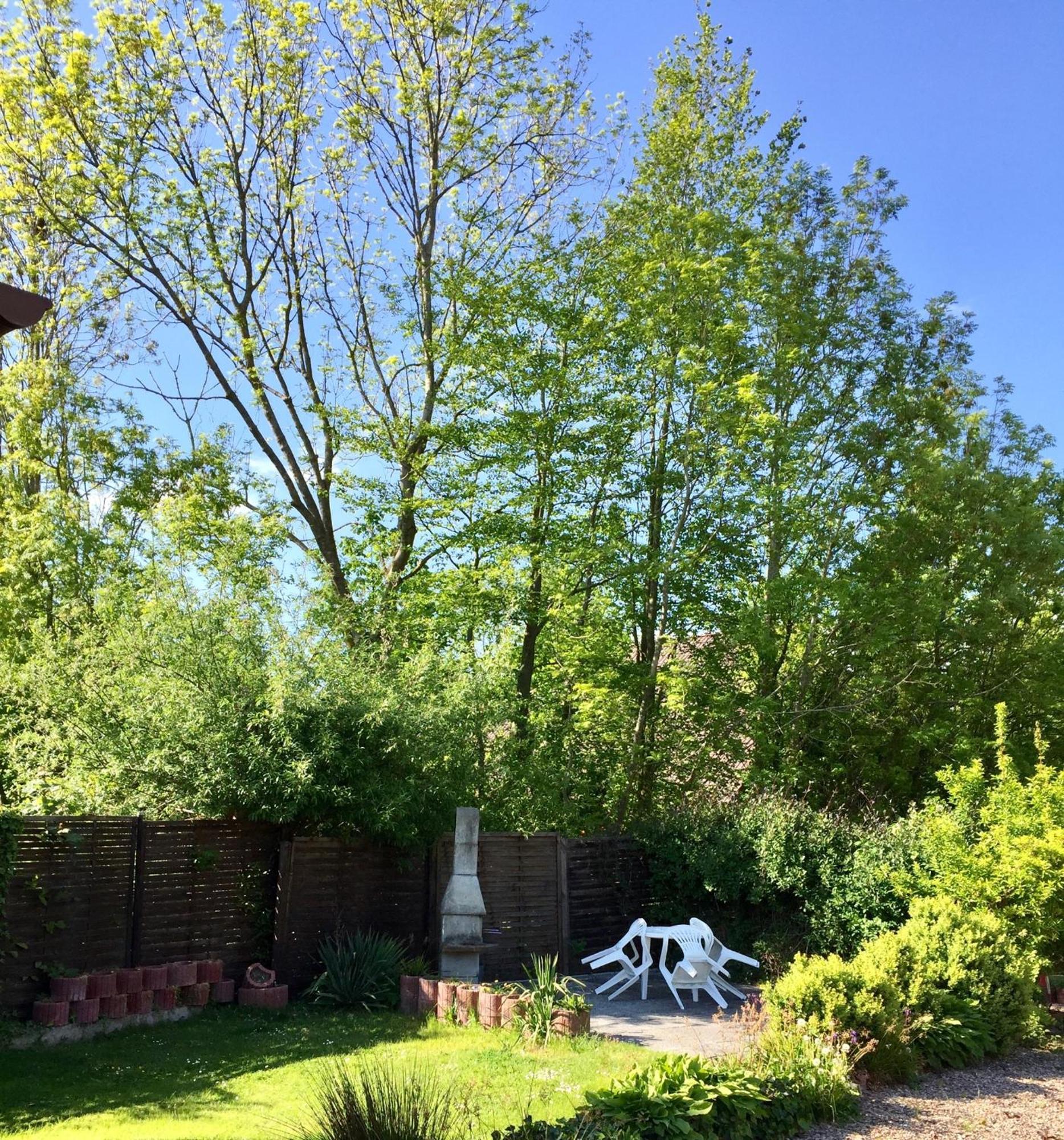 Homestay 66 Bremerhaven Geestland